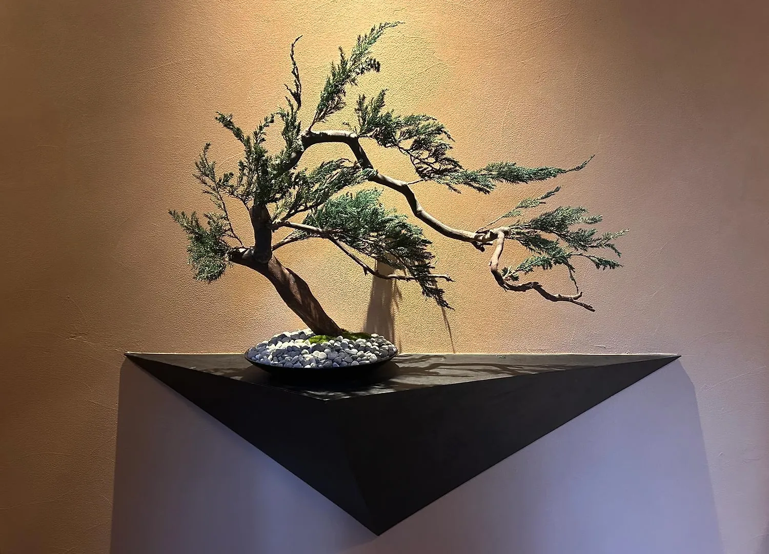 満竹華庵 Manchikan Tokyo